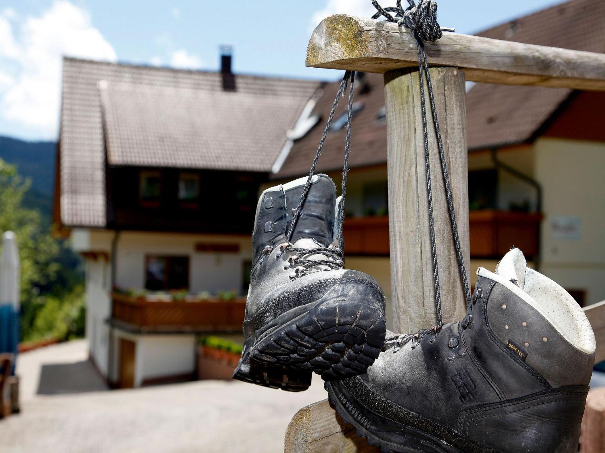 Paradies Im Schwarzwald Bad Peterstal-Griesbach Eksteriør bilde