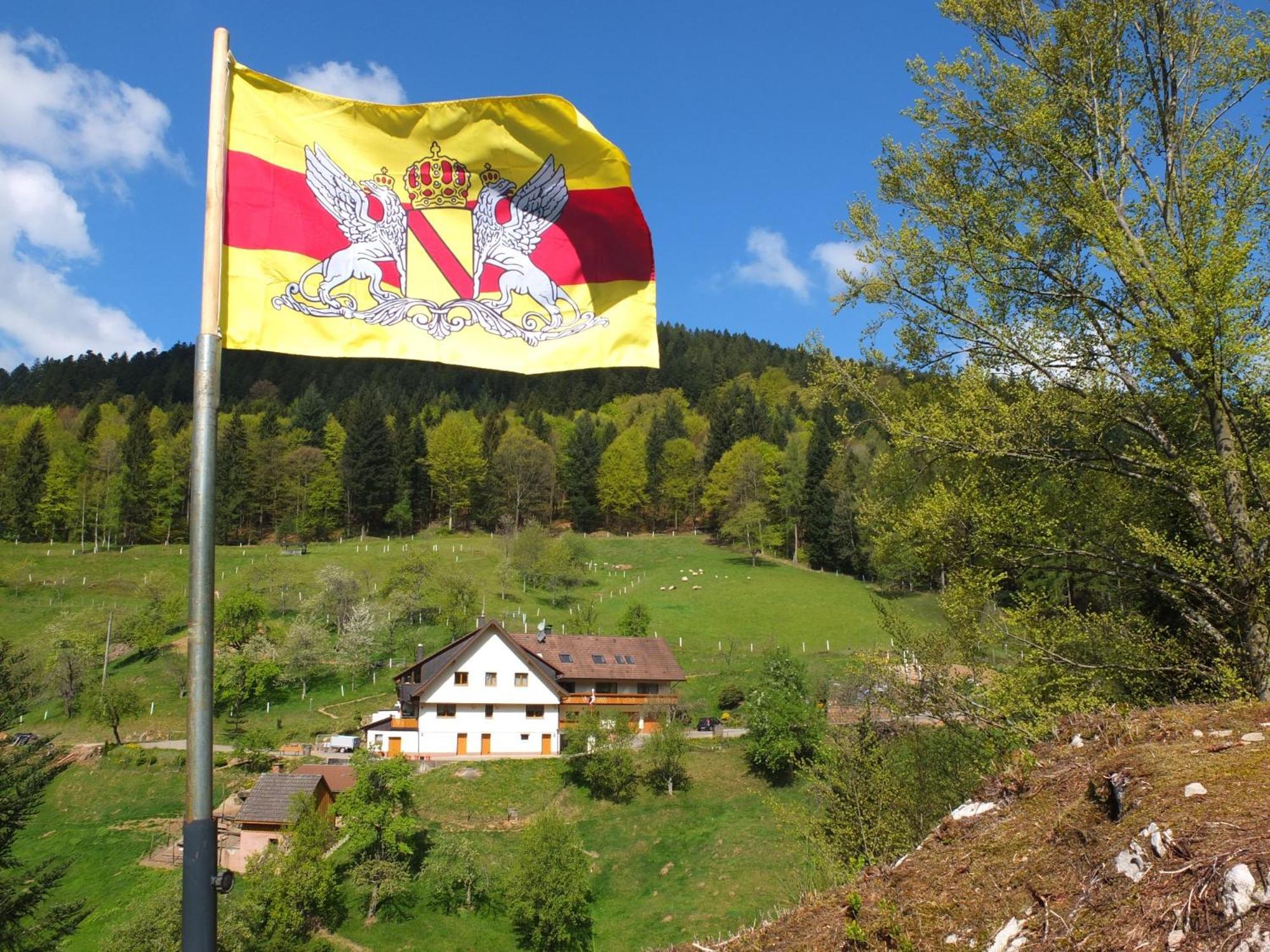 Paradies Im Schwarzwald Bad Peterstal-Griesbach Eksteriør bilde